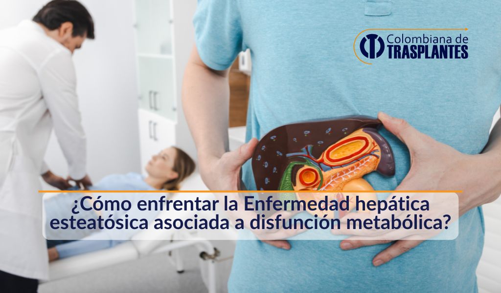 como-enfrentar-enfermedad-hepatica-masld-prevencion-tratamiento